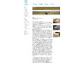 GALLERY・MA　隈 研吾 展